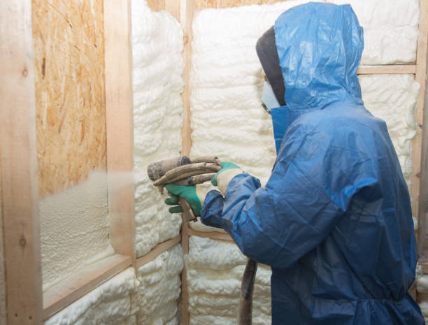 Best Spray Foam Insulation  in Summerlin South, NV